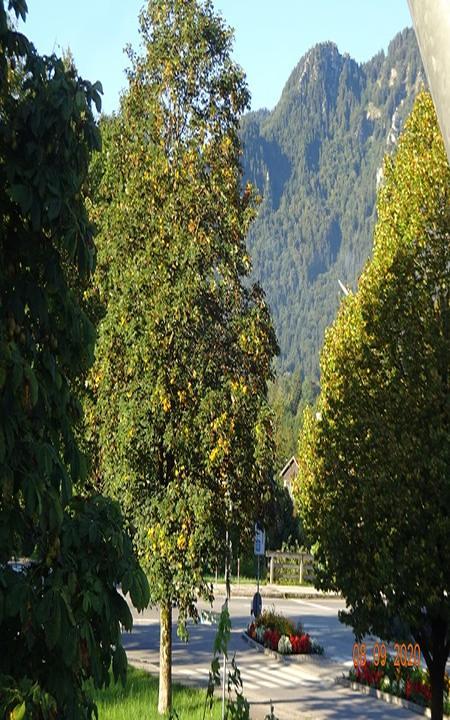 Hotel Alpengasthof Lenggrieser Hof